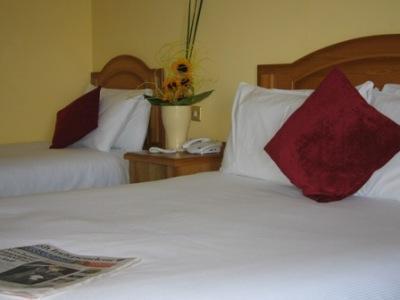 Woodlands Hotel & Leisure Centre Waterford Kültér fotó